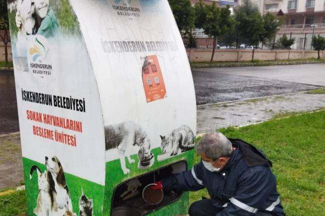 İSKENDERUN BELEDİYESİ SOĞUK HAVALARDA  SAHİPSİZ SOKAK HAYVANLARINI UNUTMUYOR