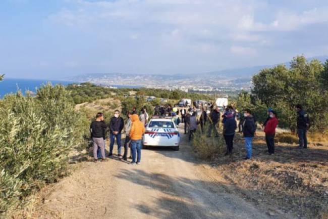 Zeytin Ağaçları Turizm Yatırımı İçin Sökülüyor