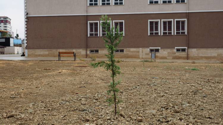 HBB’DEN İL MİLLİ EĞİTİME ÇAĞRI: OKUL BAHÇELERİNİ AĞAÇLANDIRALIM