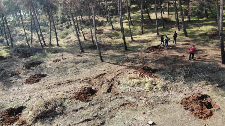 HBB 1 MİLYON FİDAN HEDEFİNE EMİN ADIMLARLA İLERLİYOR 4 BİN 500 FISTIK ÇAMI FİDANI TOPRAKLA BULUŞTU HATAY’IN TOPRAKLARI HBB İLE YEŞİLLENİYOR