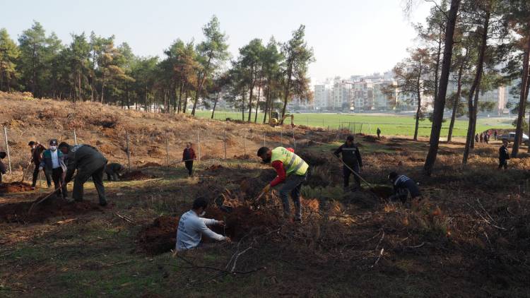 HBB 1 MİLYON FİDAN HEDEFİNE EMİN ADIMLARLA İLERLİYOR 4 BİN 500 FISTIK ÇAMI FİDANI TOPRAKLA BULUŞTU HATAY’IN TOPRAKLARI HBB İLE YEŞİLLENİYOR