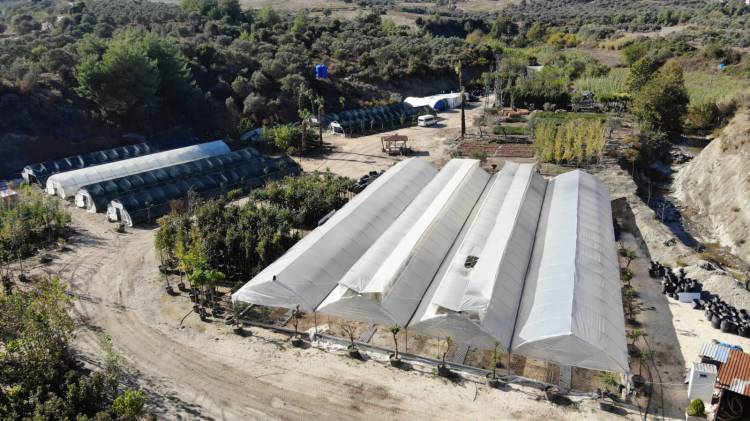 HBB ÜRETİYOR HATAY GÜZELLEŞİYOR ŞEHRİN CADDE VE BULVARLARINDA HBB İMZASI VAR HBB’NİN EMEKLERİYLE HATAY ÇİÇEK AÇIYOR