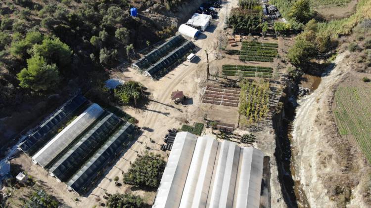 HBB ÜRETİYOR HATAY GÜZELLEŞİYOR ŞEHRİN CADDE VE BULVARLARINDA HBB İMZASI VAR HBB’NİN EMEKLERİYLE HATAY ÇİÇEK AÇIYOR