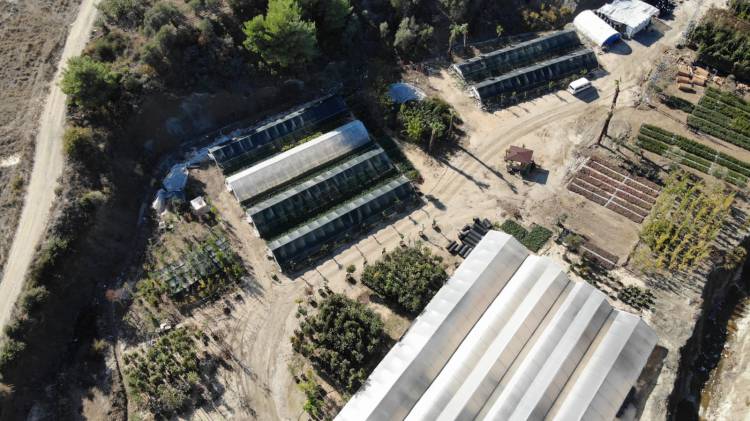 HBB ÜRETİYOR HATAY GÜZELLEŞİYOR ŞEHRİN CADDE VE BULVARLARINDA HBB İMZASI VAR HBB’NİN EMEKLERİYLE HATAY ÇİÇEK AÇIYOR