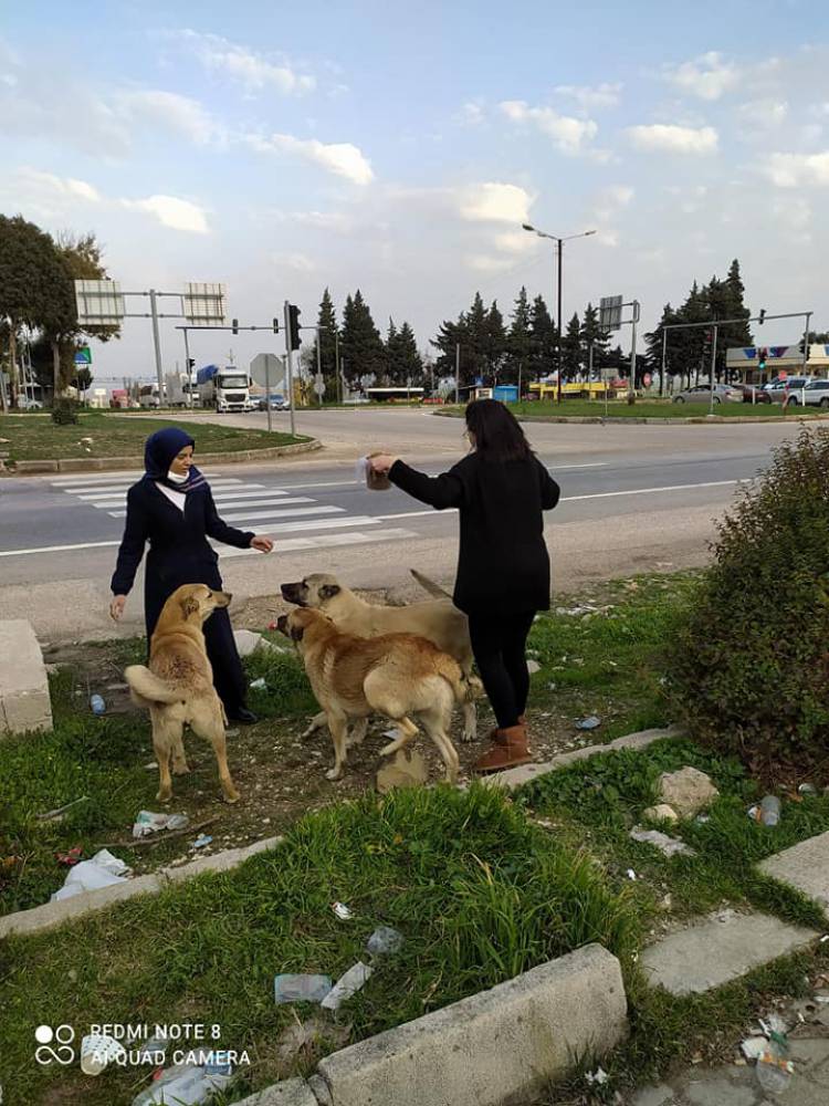 BAŞKAN YAVUZ SOKAK HAYVANLARINI KORUMAYA VE SAHİP ÇIKMAYA DEVAM EDİYOR