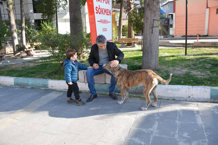 BAŞKAN YAVUZ TORUNU ALP İLE BİRLİKTE SOKAK HAYVANLARINI BESLEDİ