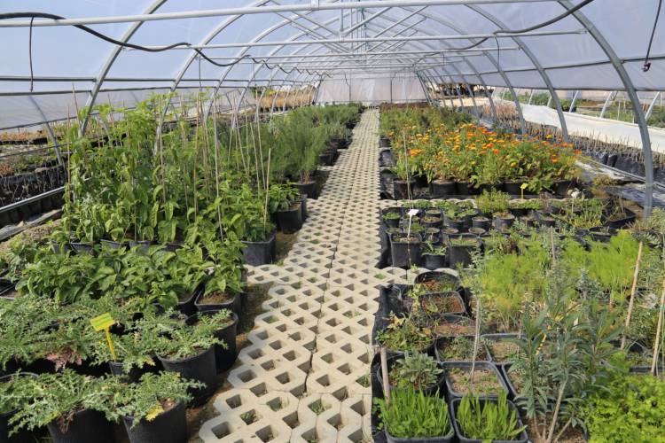 HATAY’IN ÜRETKEN KADINLARI EXPO SERALARINI ZİYARET ETTİ