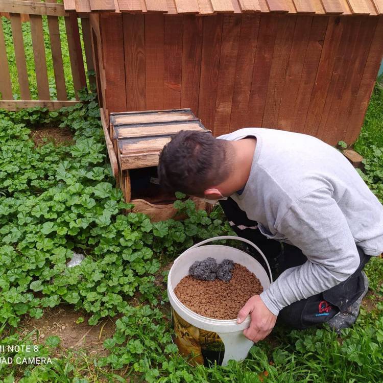İSKENDERUN BELEDİYESİ SOKAK HAYVANLARINI UNUTMUYOR
