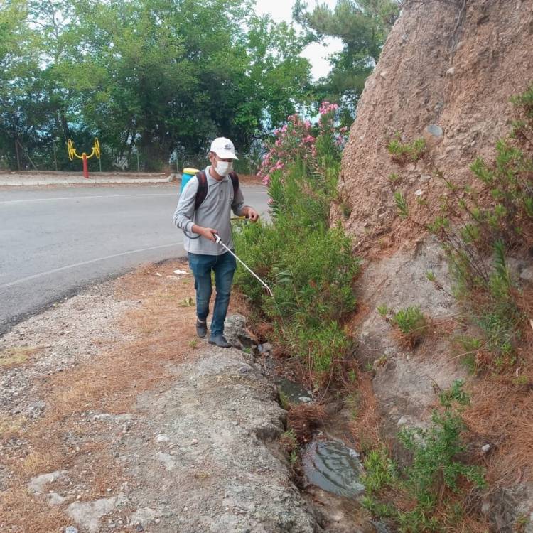 İSKENDERUN BELEDİYESİ LARVA ve UÇKUN MÜCADELESİNİ SÜRDÜRÜYOR