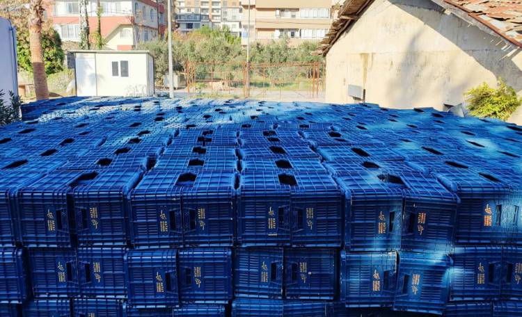 HBB’DEN ÜRETİCİYE ÜCRETSİZ ZEYTİN TOPLAMA KASASI BÜYÜKŞEHİR’DEN ZEYTİN ÜRETİCİSİNE BİR DESTEK DAHA