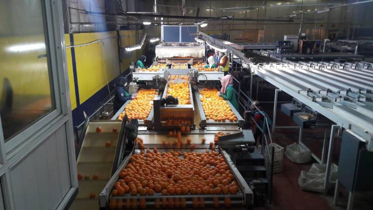 DÖRTYOL’DA İHRACAT FİRMASINA ZİYARET