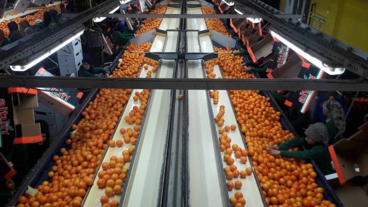 DÖRTYOL’DA İHRACAT FİRMASINA ZİYARET