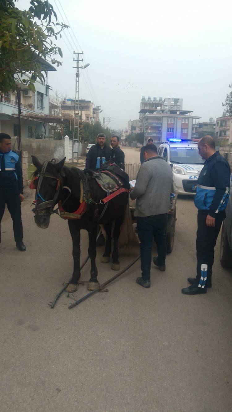 KIRIKHAN BELEDİYE ZABITA MÜDÜRLÜĞÜ AT ARABALARINA YİNE GÖZ AÇTIRMADI
