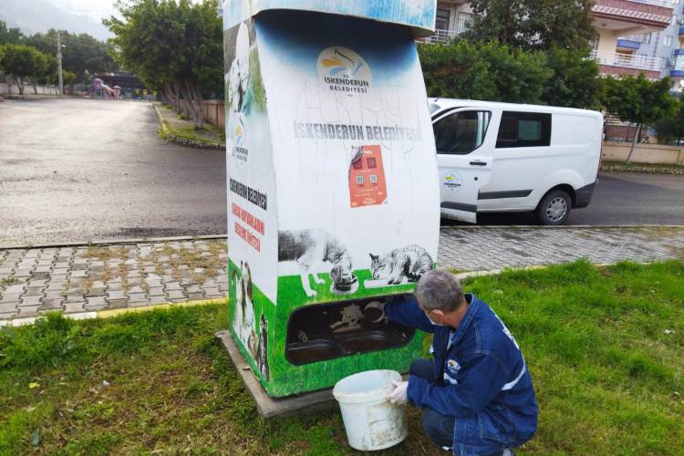 İSKENDERUN BELEDİYESİ SOKAK HAYVANLARINI YALNIZ BIRAKMIYOR