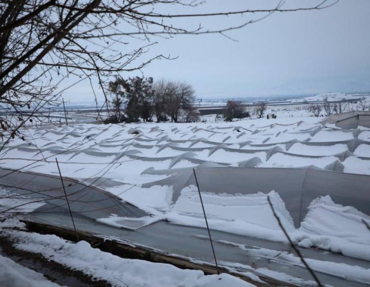HASSA AFET BÖLGESİ İLAN EDİLMELİ (KANUN TEKLİFİ)