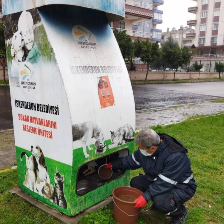 İSKENDERUN BELEDİYESİ SOĞUK HAVALARDA  SAHİPSİZ SOKAK HAYVANLARINI UNUTMUYOR