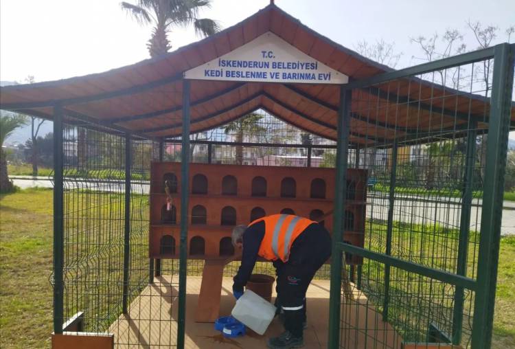 İSKENDERUN BELEDİYESİ SOĞUK HAVALARDA  SAHİPSİZ SOKAK HAYVANLARINI UNUTMUYOR